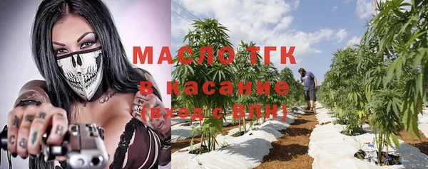 дмт Карпинск