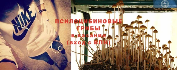 дмт Карпинск