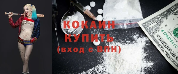 дмт Карпинск