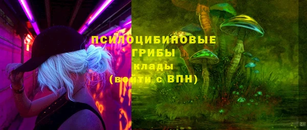 дмт Карпинск